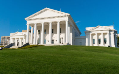 Say “NO” to Virginia Constitutional Amendment for Unlimited-to-Birth Abortion!